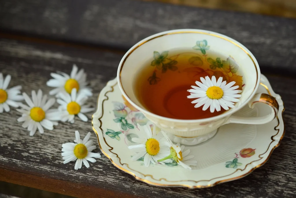 Taza de infusión digestiva después de comer